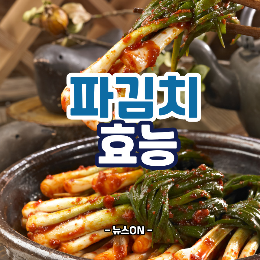 파김치 효능