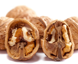 지방간에좋은음식-호두