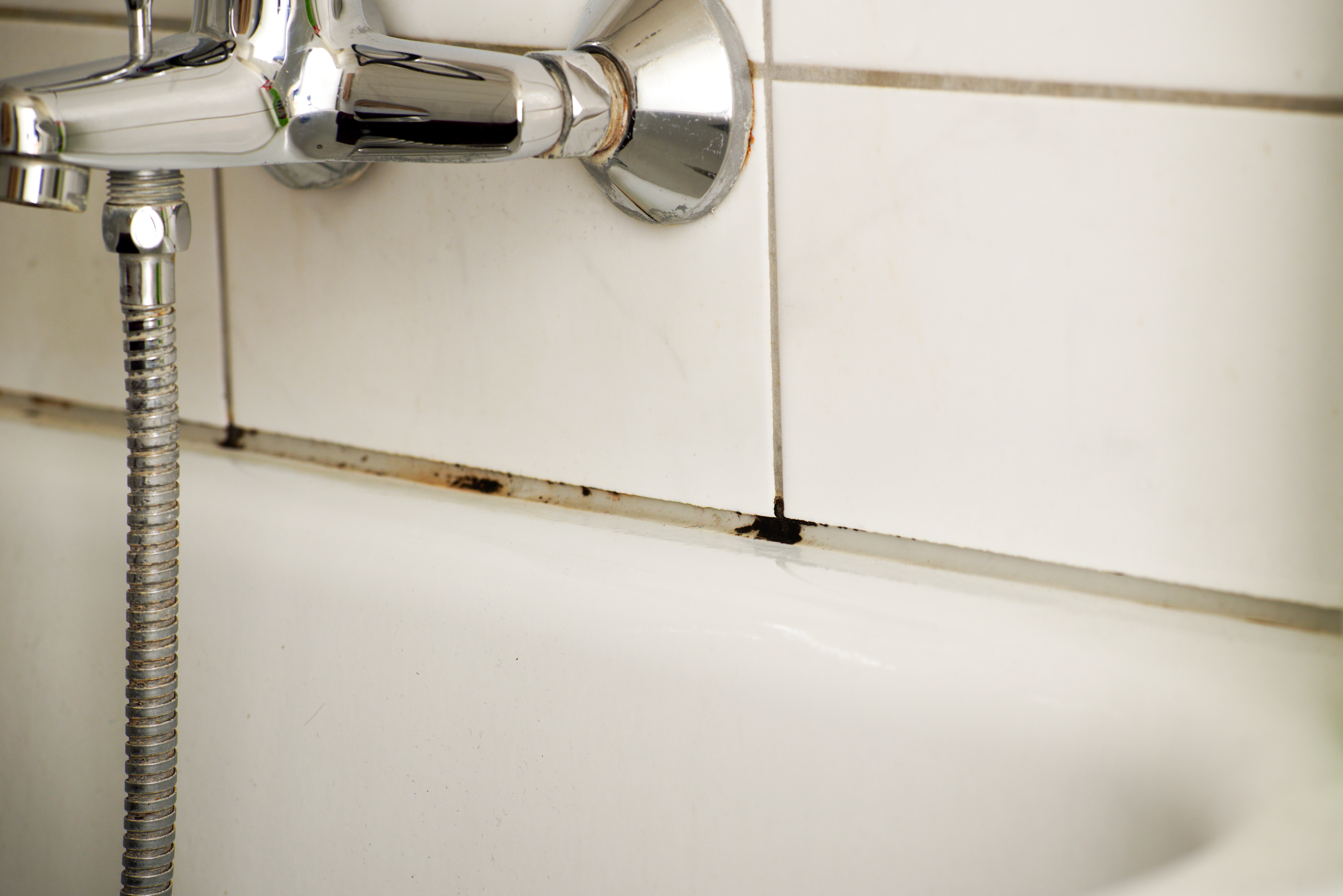 욕실 타일 틈 사이에 곰팡이가 핀 모습, 실리콘과 타일 경계 부위의 곰팡이 발생 사례