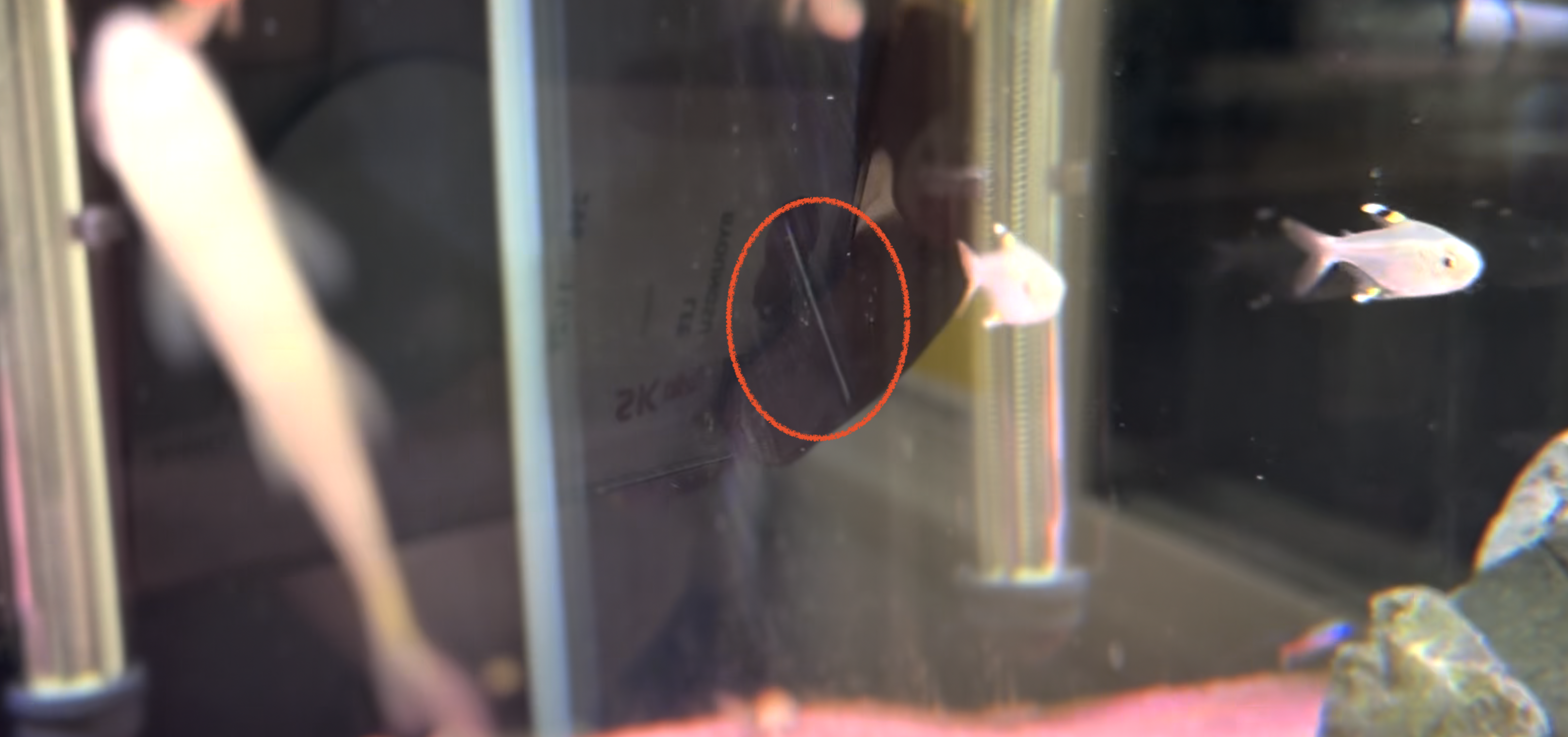 어항 유리 기스