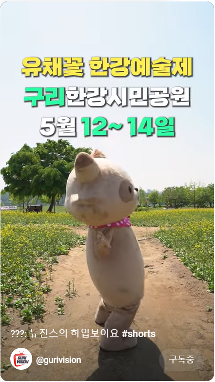 2023.구리 유채꽃축제.유채꽃 한강예술제.유채꽃 개화현황.주차