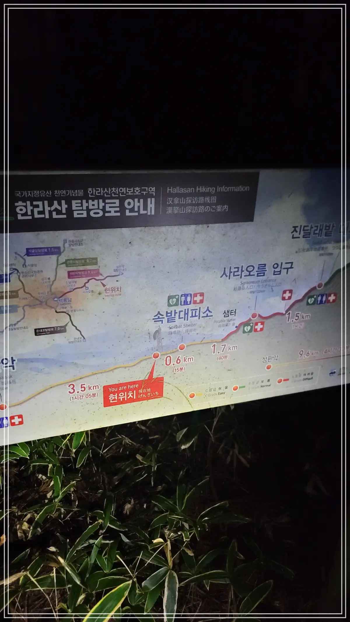 탐방로 안내