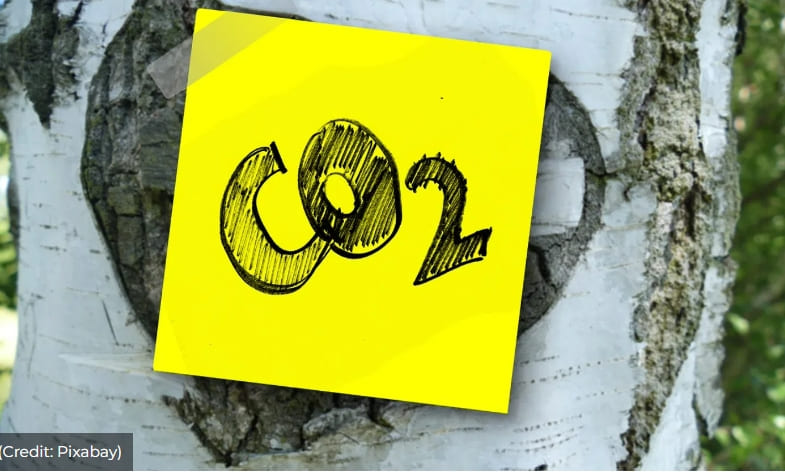 세계 최초 개방형 CO2 수송 및 저장시설 건설 중 VIDEO: Construction Underway on World&rsquo;s First Open CO2 Transport and Storage Facility