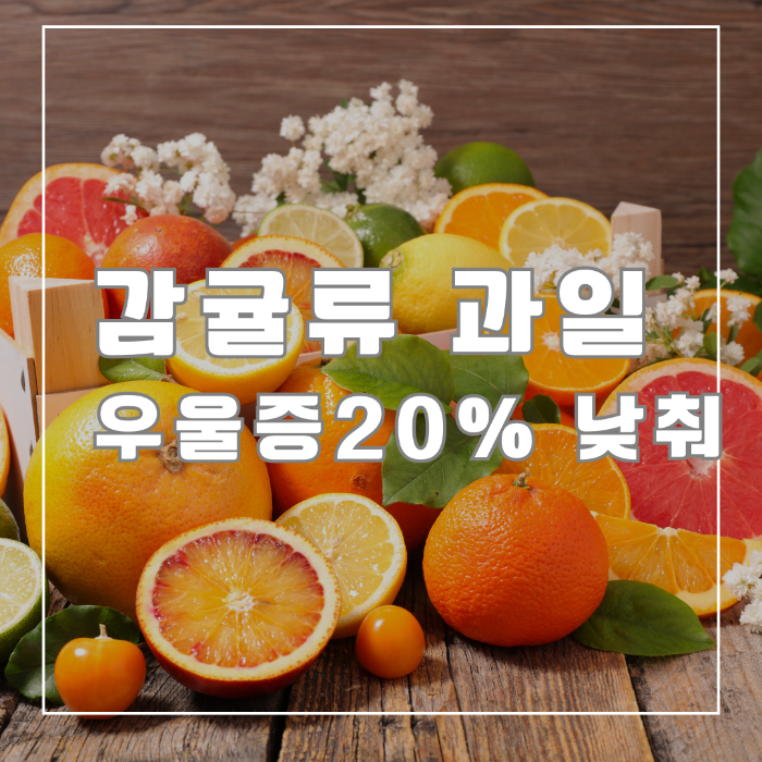 감귤류 과일 우울증