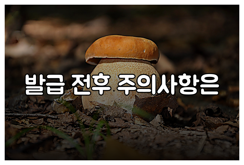 발급 전후 주의사항은