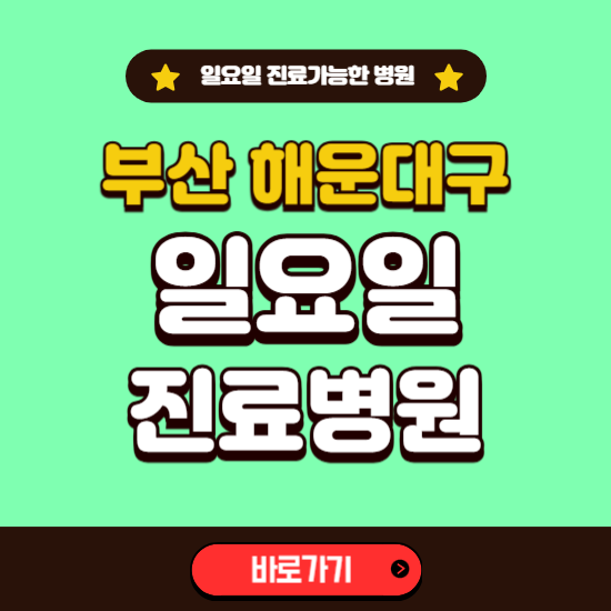 부산 해운대구 일요일 진료 가능한 병원 ❘ 주말 문여는 곳 총정리 (소아과, 내과, 안과, 치과, 피부과, 정형외과, 산부인과)