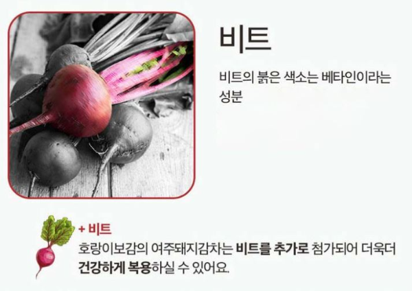 비트의 특성