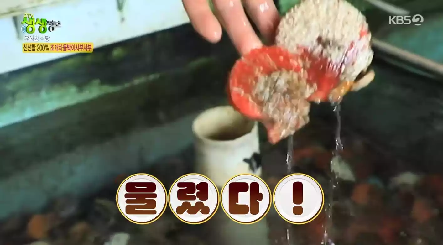 신선한 조개