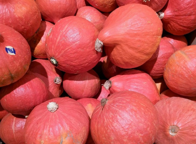 민감 피부 집중! 민감 피부에 꼭 필요한 비타민 B12 완벽 정리