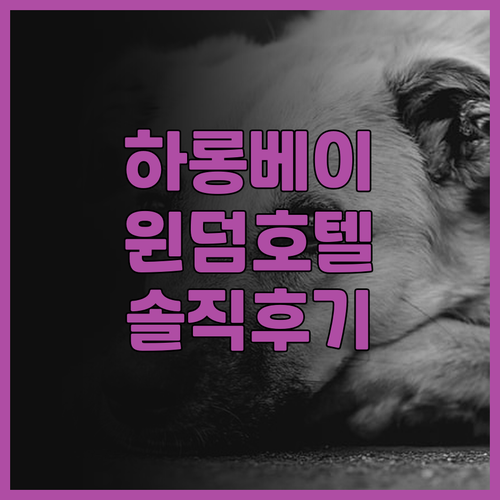 하롱베이 윈덤 가든 레전드 호텔 후기..