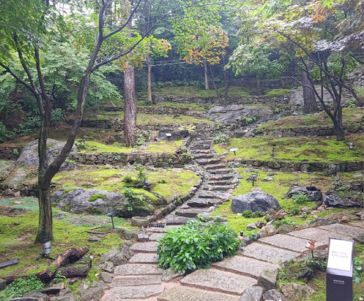 경기도 단풍 명소 곤지암 화담숲 