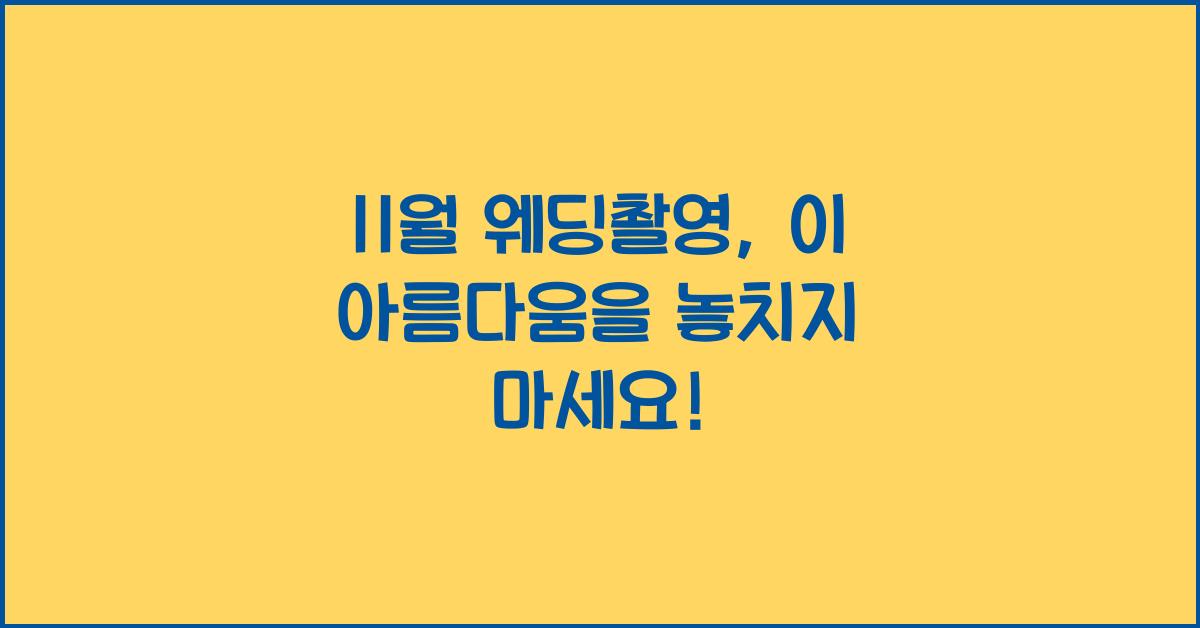 11월 웨딩촬영