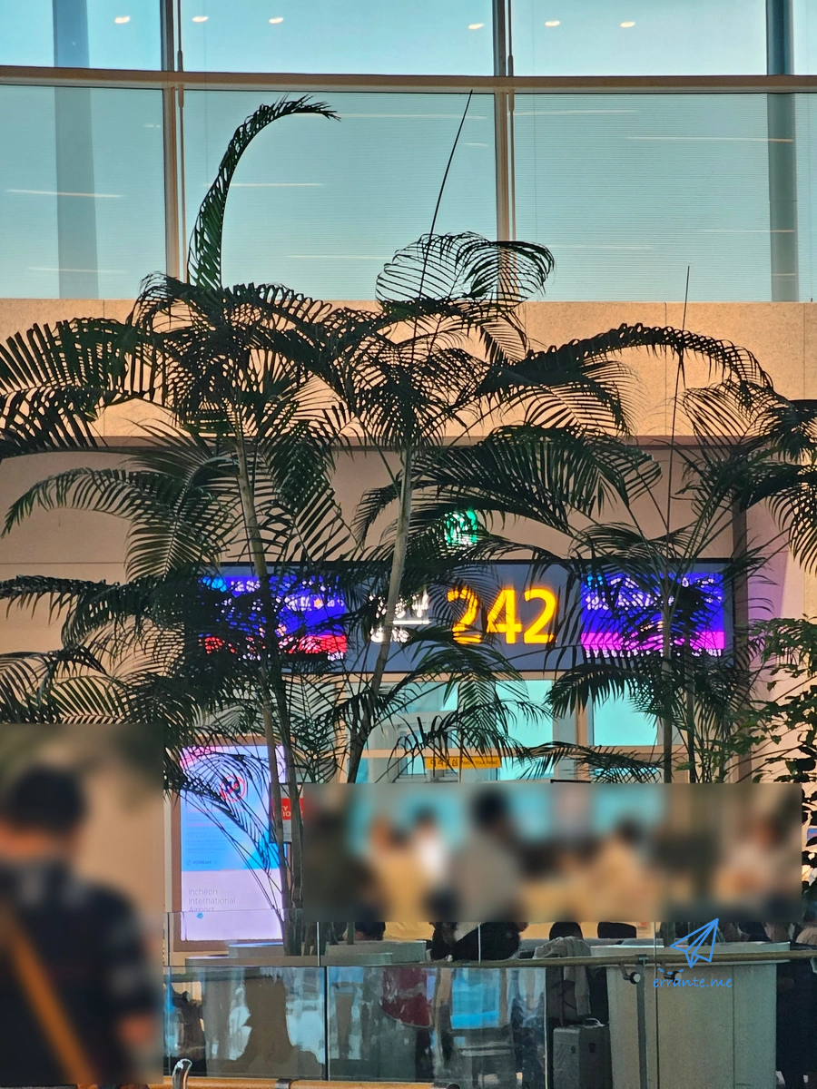 인천공항 2터미널 242번 게이트