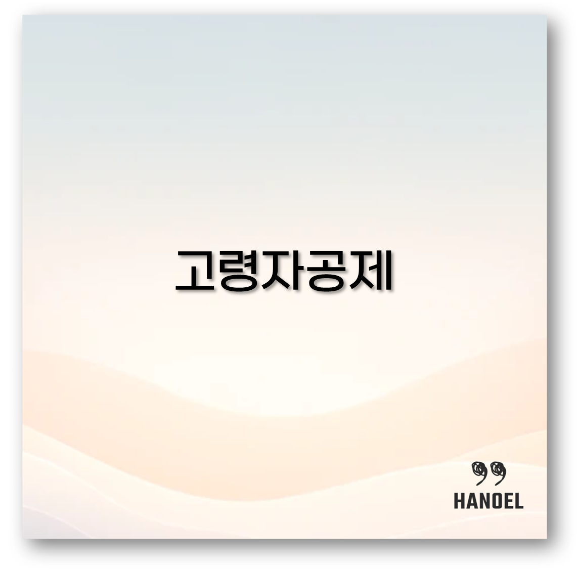 고령자공제