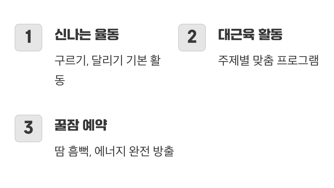 지치지 않는 에너자이저를 위한 한 시간의 열정