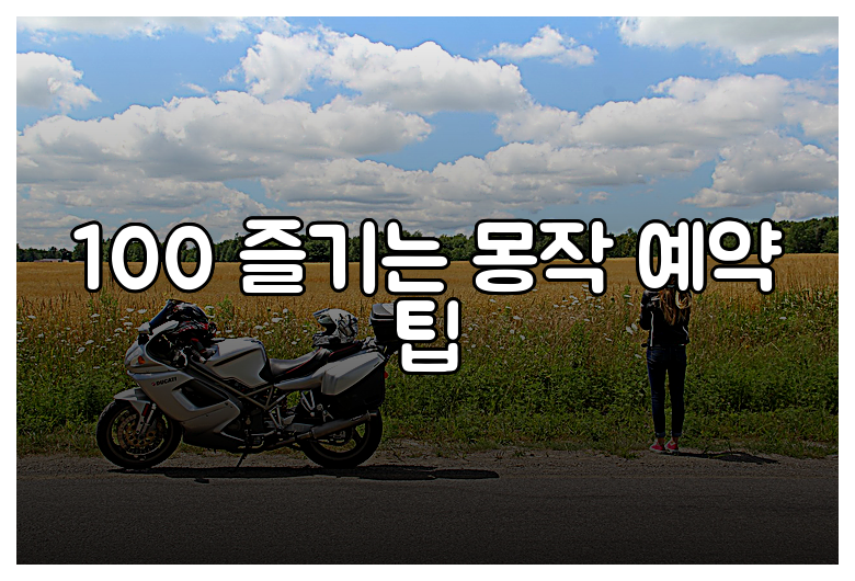 100 즐기는 몽작 예약 팁