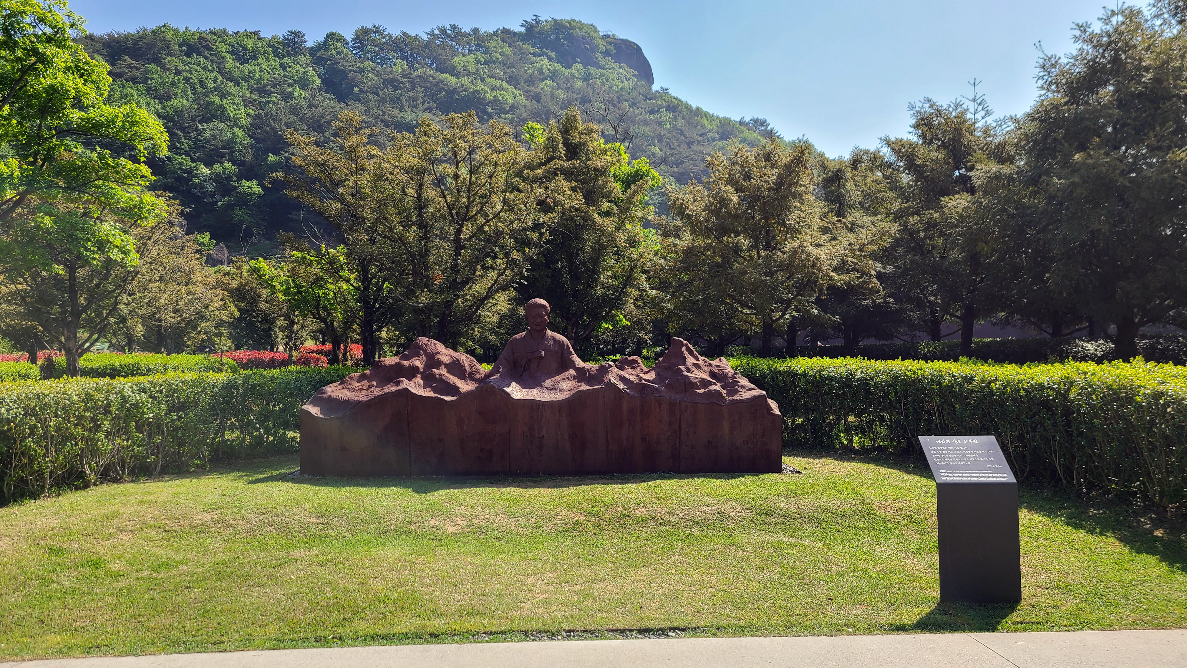 대지의 아들 노무현