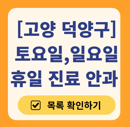 고양 덕양구 토요일 일요일 문 여는 안과 목록 ❘ 주말, 공휴일 진료 영업 병원 찾기