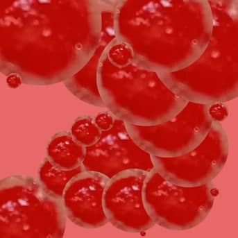 혈액형별 팀워크 향상 전략