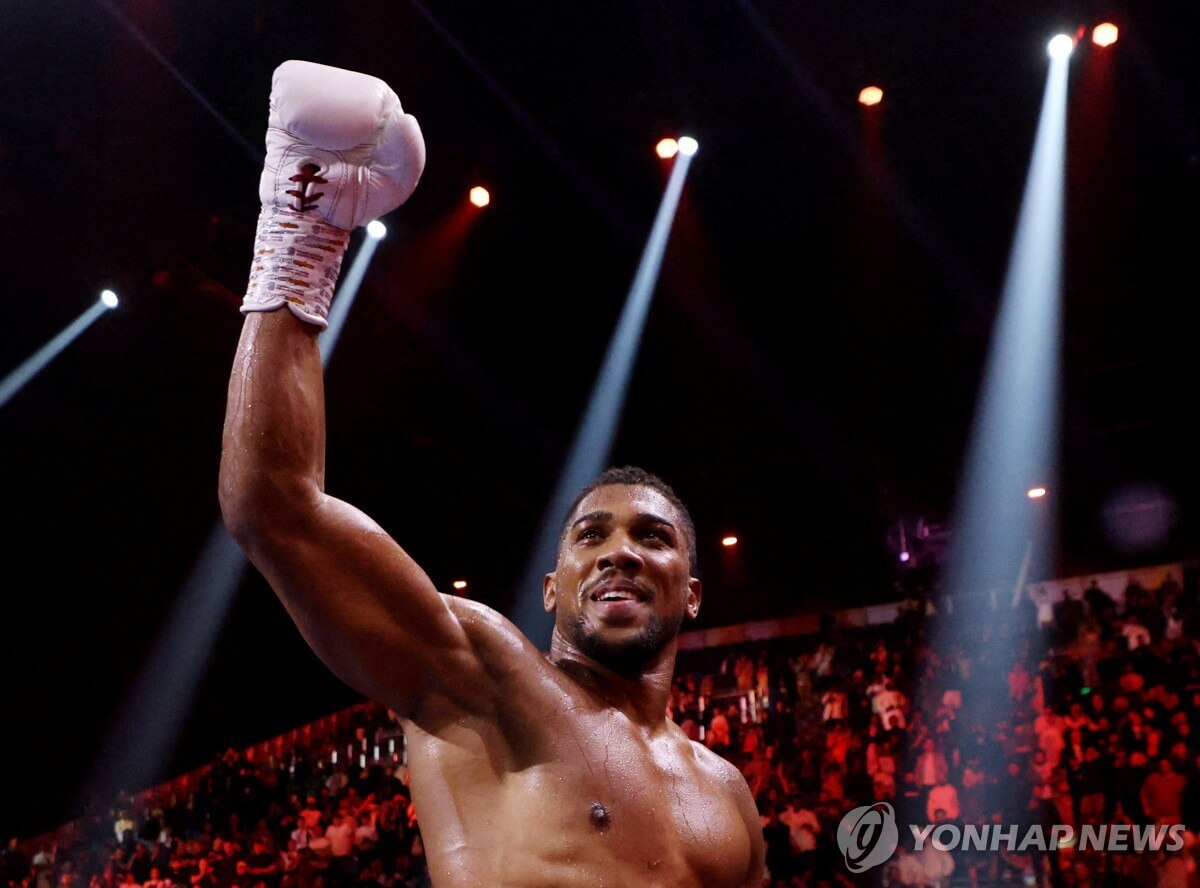 IBF 헤비급 타이틀전 조슈아 뒤부아