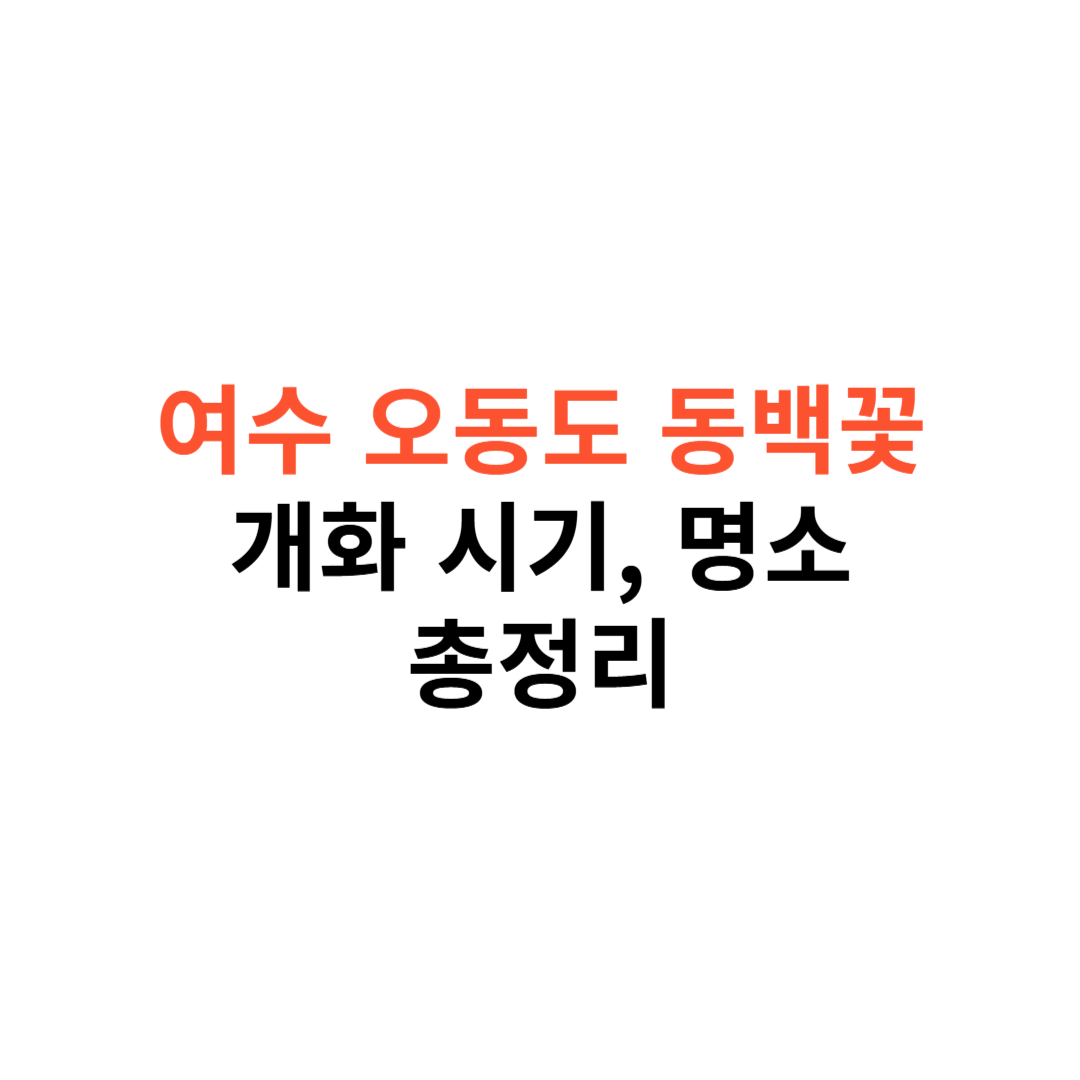 오동도 동백꽃
