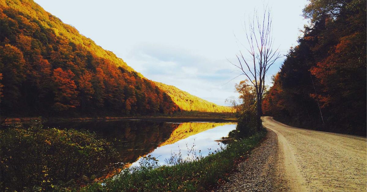 young person happily managing finances on laptop with multiple accounts