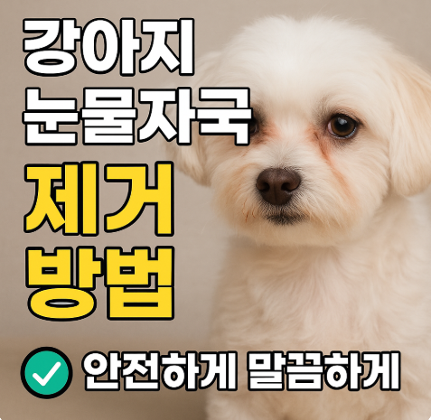 강아지 눈물자국 제거방법 썸네일 사진