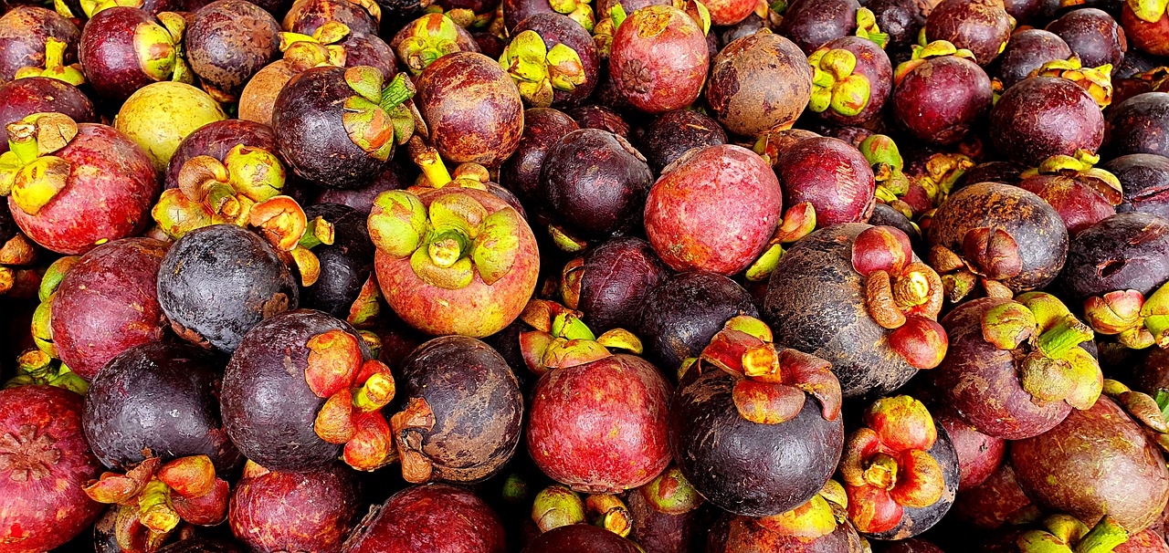 망고스틴보관법