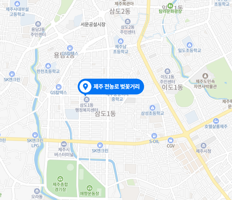 제주벚꽃축제