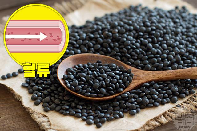 피가 부족할때 좋은 음식 피부족에 좋은 음식 검정 렌틸콩