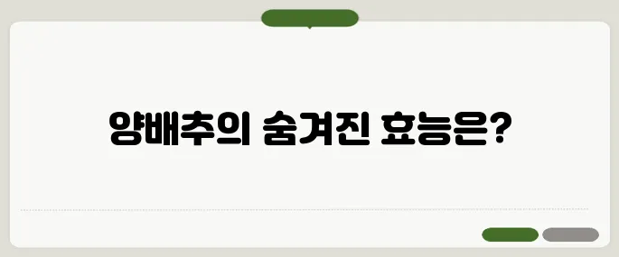 양배추 양배추즙 효능과 먹는법