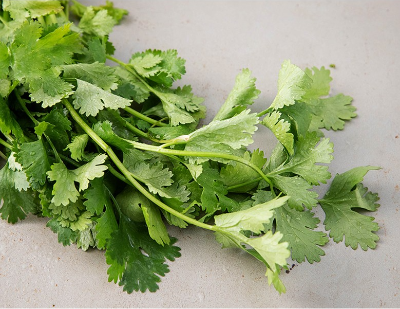 고수의 모든 것