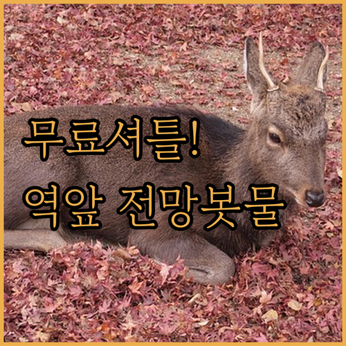 히로시마역 근처 무료 셔틀 있는 호텔..