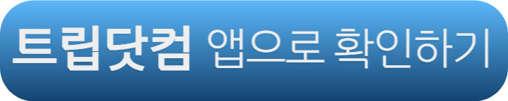 트립닷컴 오사카 항공권