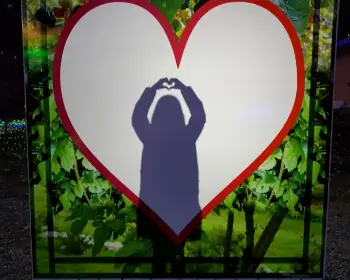 고니골 빛 축제_11