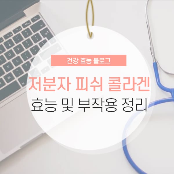 저분자 피쉬 콜라겐 부작용 및 효능 소개 컨텐츠