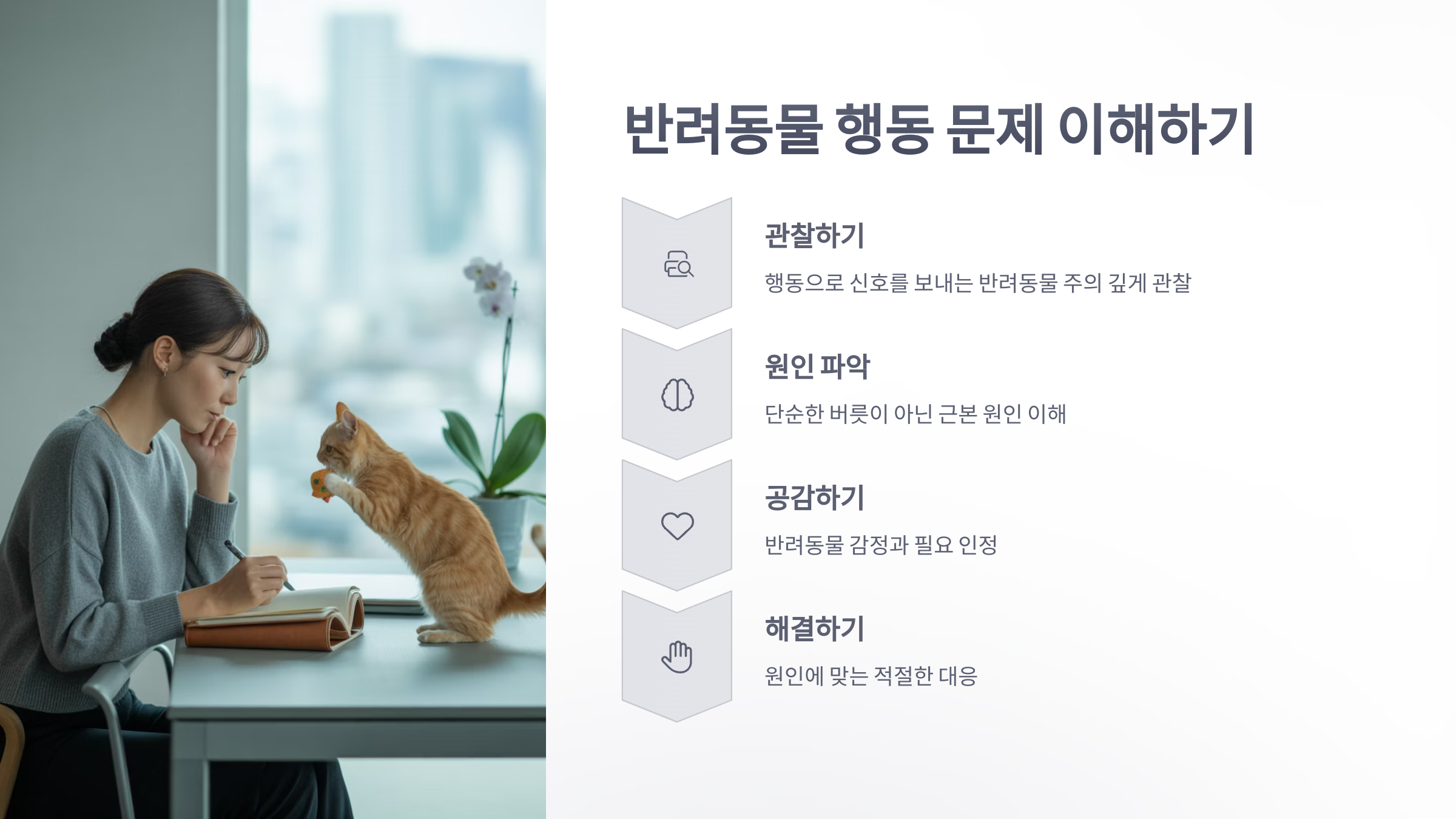 참조-반려동물-고민-3