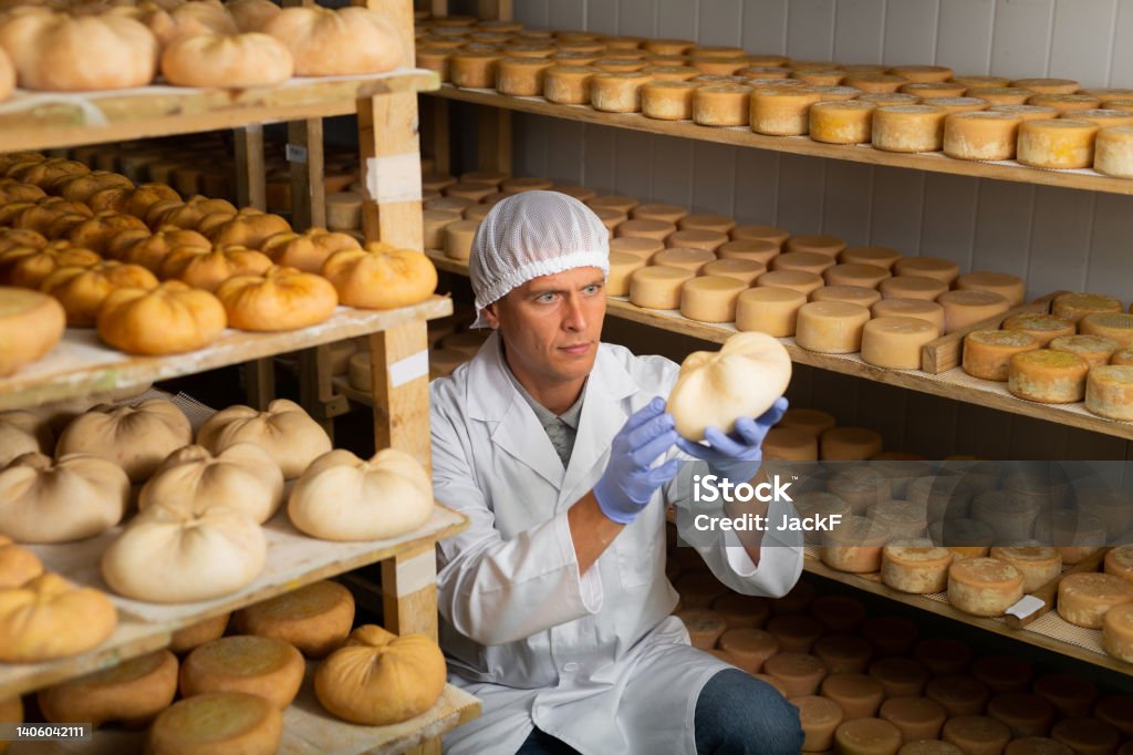 돈은 잘 벌지만 한국엔 없는 직업 5가지