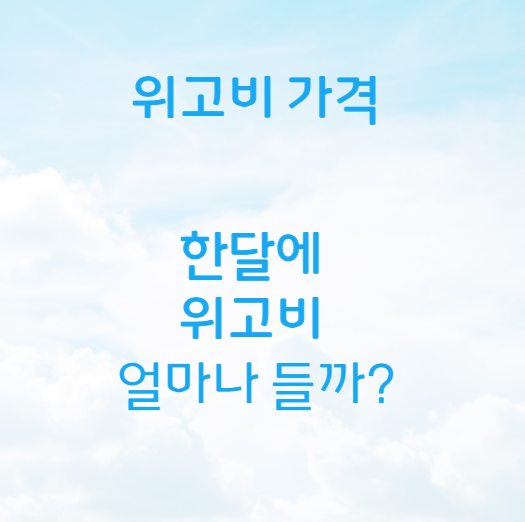 위고비 가격
