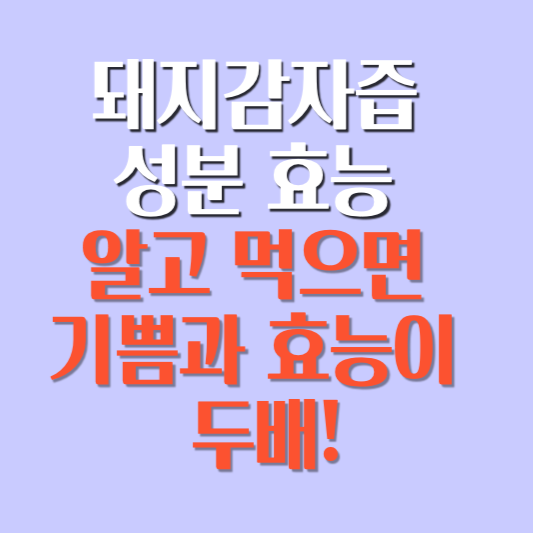 돼지감자즙 성분 효능 알고 먹으면 기쁨과 효능이 두배!
