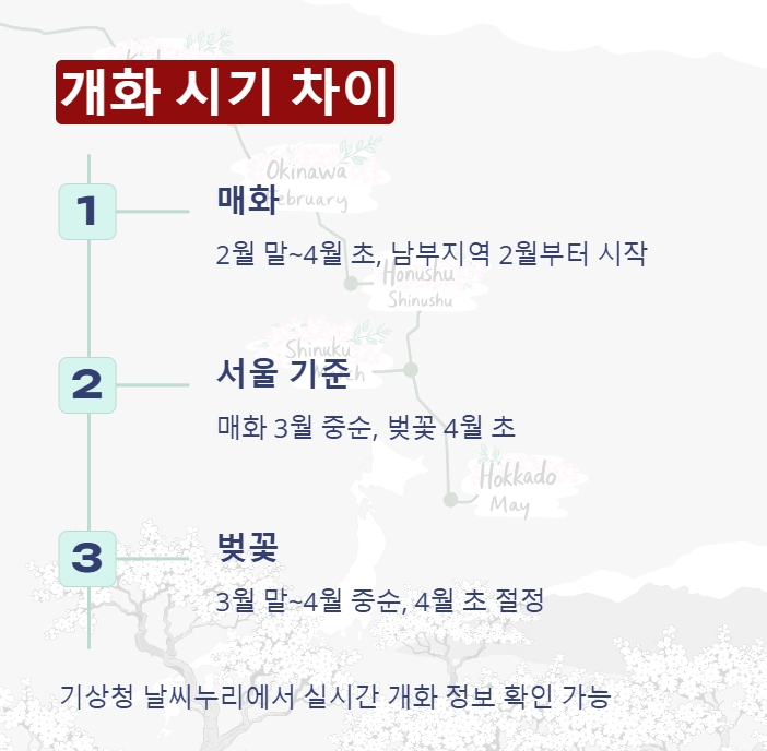 개화시기의 차이
