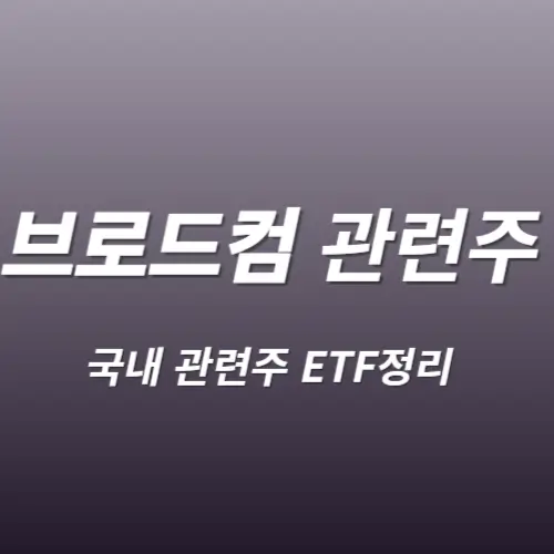 브로드컴 관련 국내주식 알아보기 대표종목 TOP5