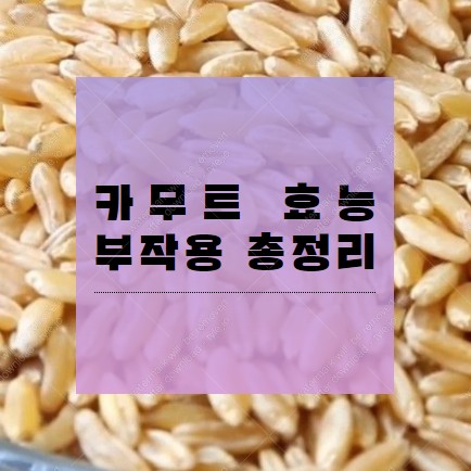 카무트 효능 부작용