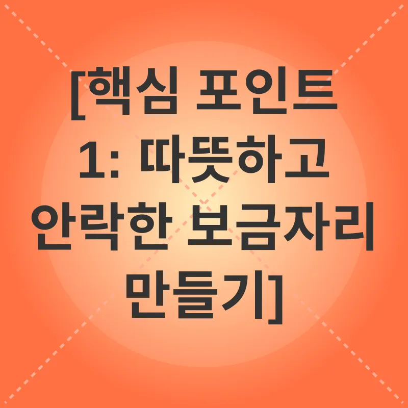 겨울철 반려묘 관리_1