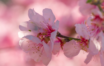 화담숲-예약-방법