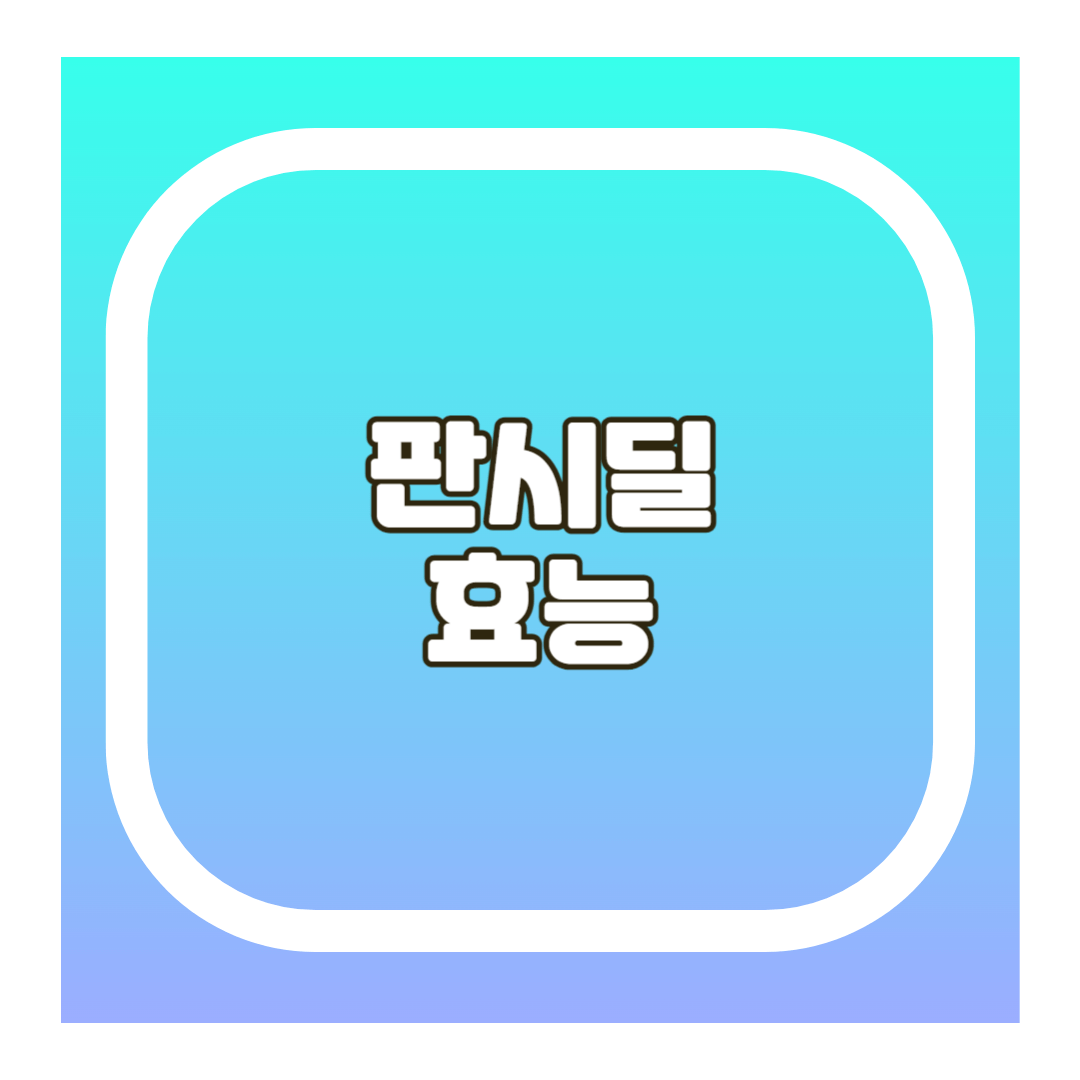 판시딜 효능