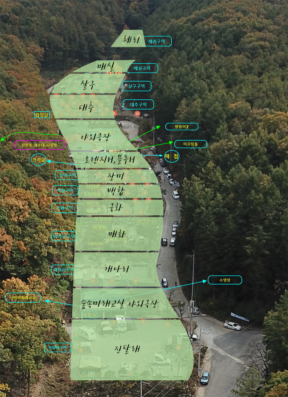 경기-용인-용인랜드-숲속캠핑장-사진-입니다.