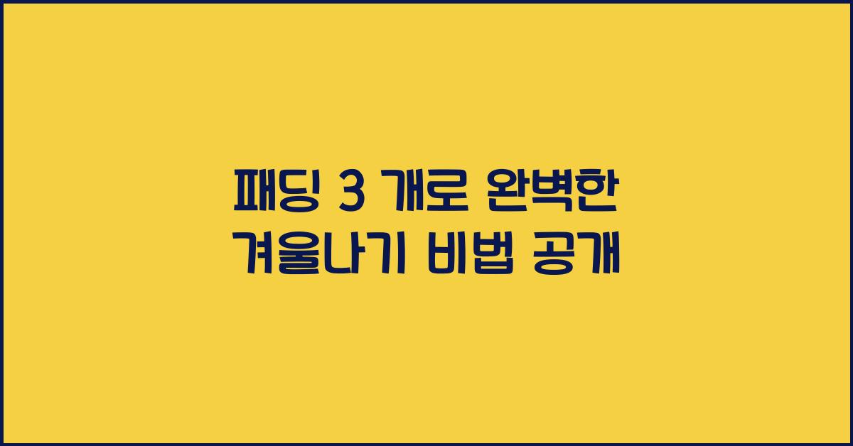 패딩 3 개
