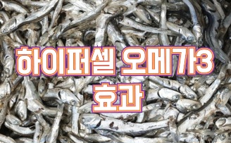 하이퍼셀오메가3-효능