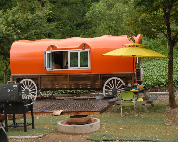 태백 해바라기 축제 마차펜션_1